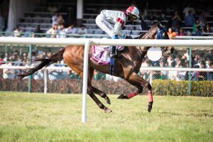 Where Best Horse Racing Apps Review 2026: Bonus, App, Withdrawal Tested
